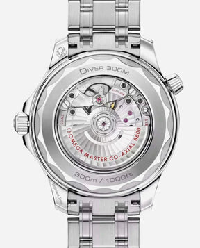 Omega Seamaster Professional Black