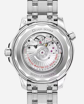 Omega Seamaster White Co-Axiel